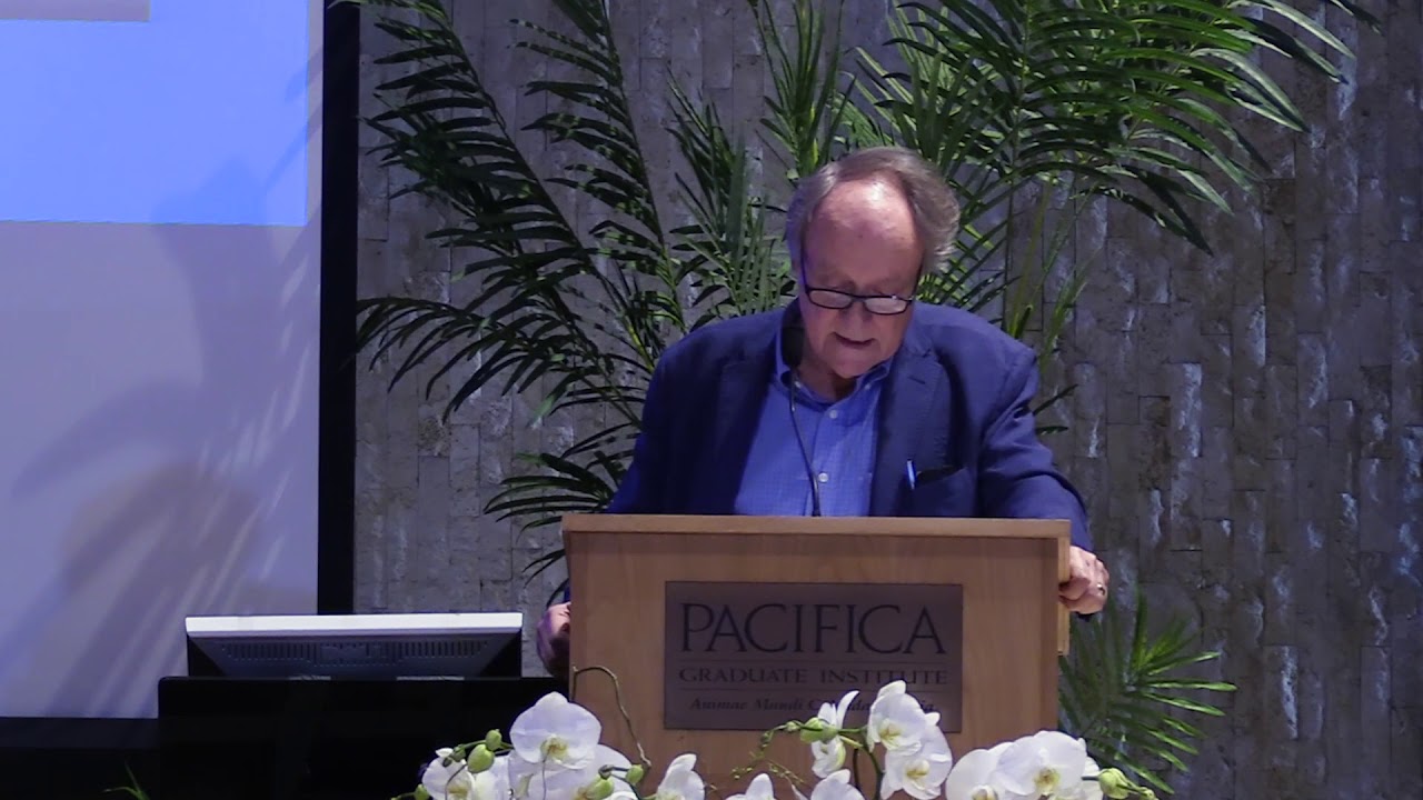 Donald Kalsched – Glimpses through the veil: Encounters with the numen of clinical work